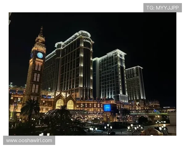 澳门威尼娱乐官方网站赌博游戏种类全面覆盖，满足不同玩家的娱乐需求与高额盈利追求