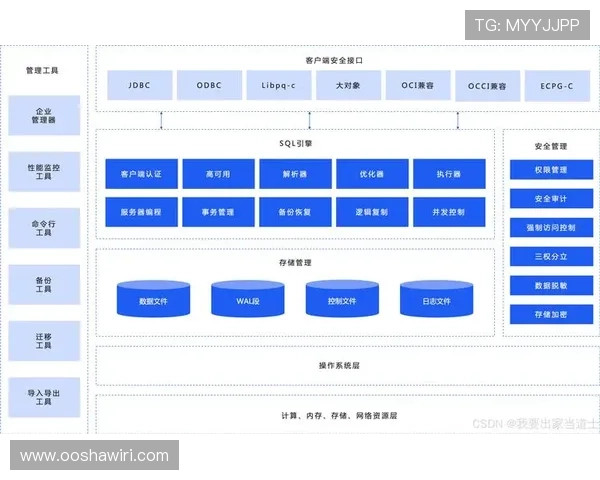 pgsql下载官网官方渠道下载PostgreSQL数据库，确保安全无病毒的完整流程介绍