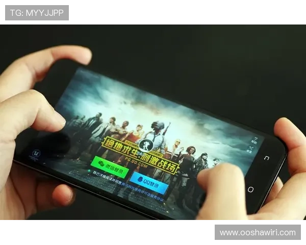 PG娱乐app网址官方入口指南,详细介绍安全登录流程和常见问题解决方案 PG娱乐app网址官方入口指南,详细介绍安全登录流程和常见问题解决方案